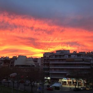 Meet your Posher, Gracie